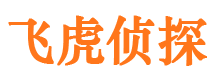 丰县市调查公司